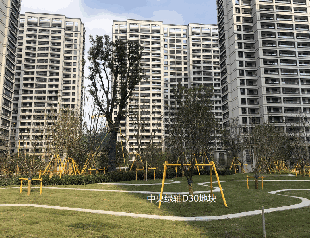 【項目動態(tài)】工程進度簡訊（十五）