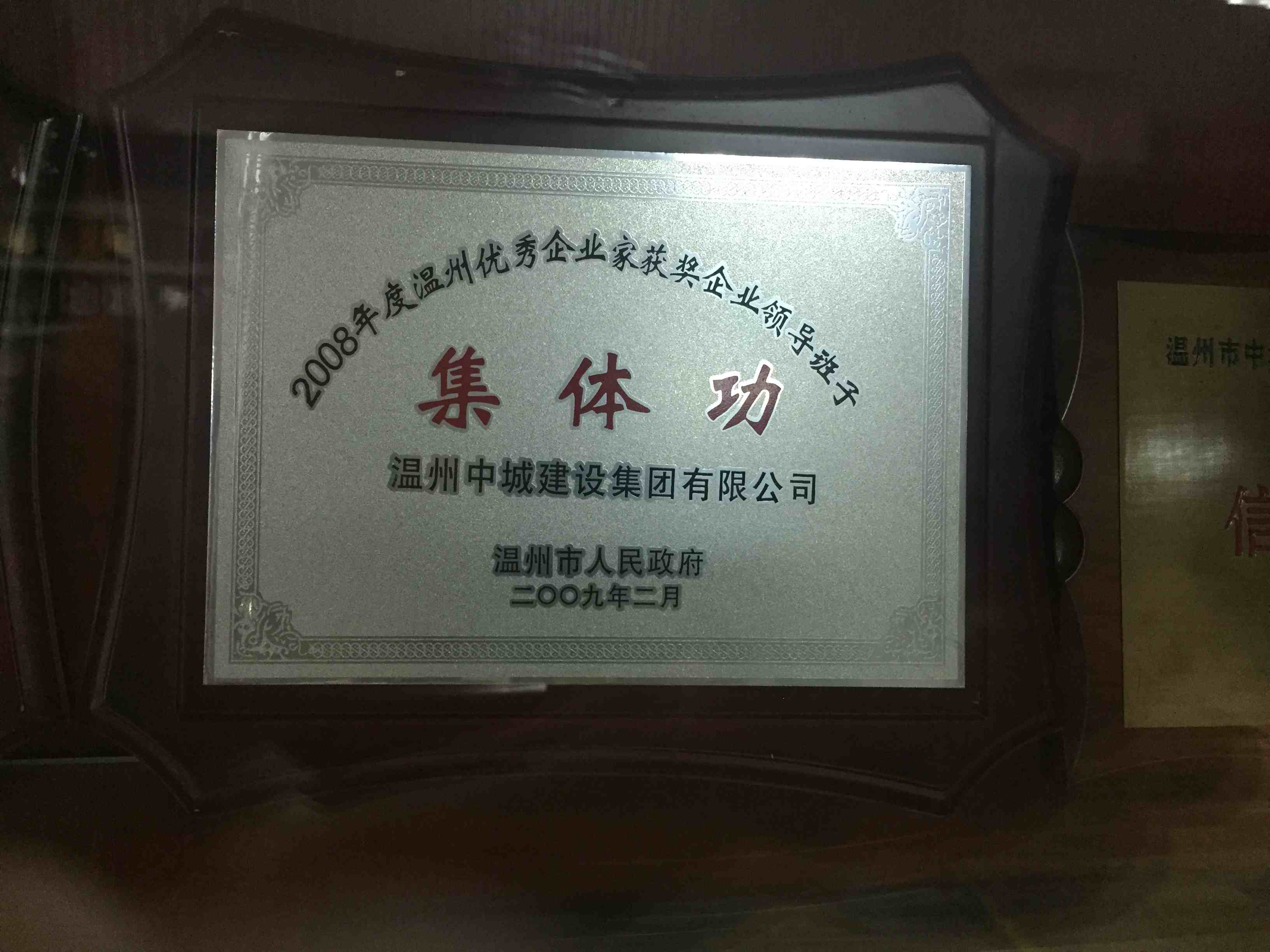 2008年度 溫州優(yōu)秀企業(yè)家獲獎(jiǎng)企業(yè)領(lǐng)導(dǎo)班子集體功