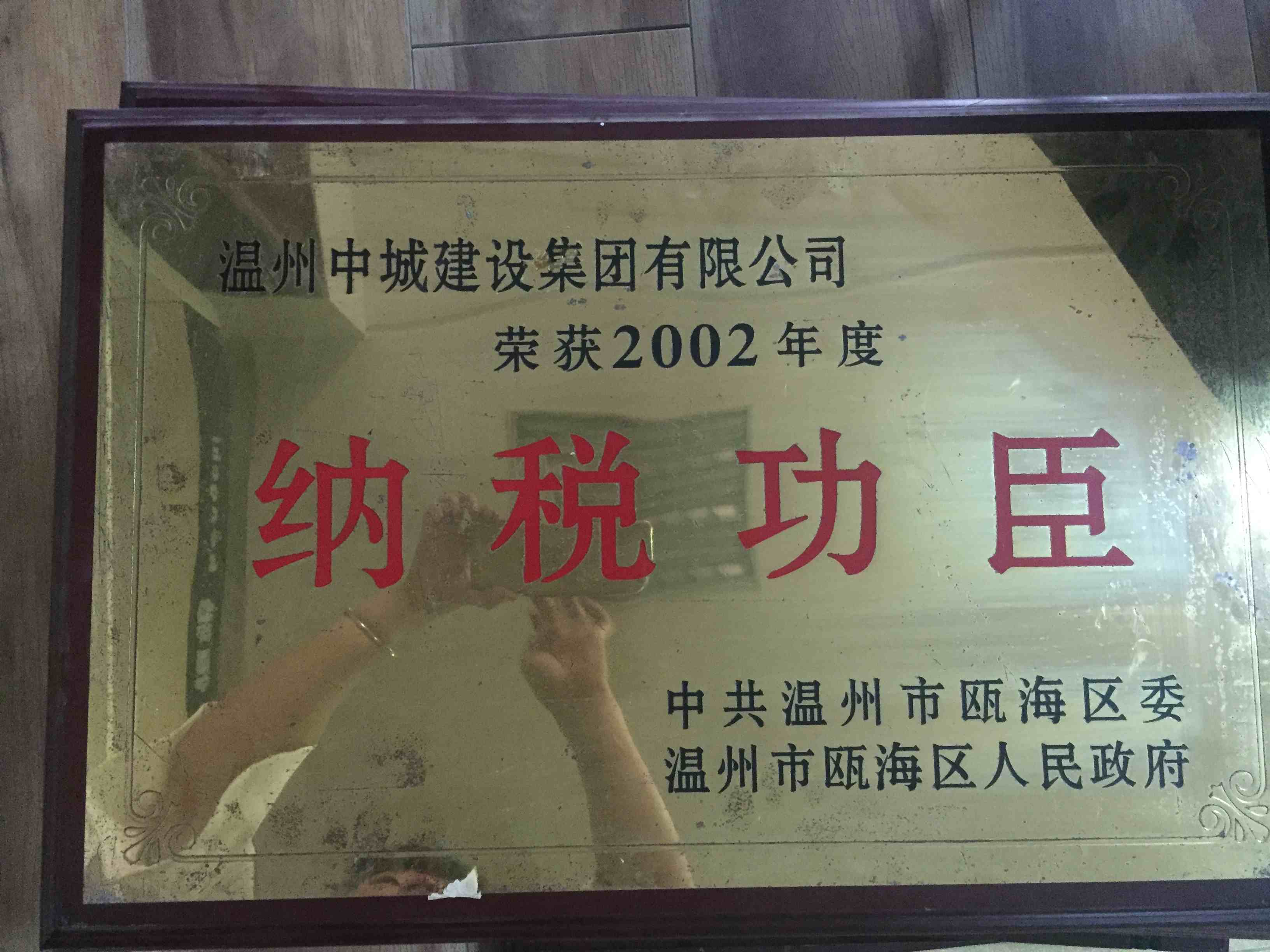 2002年度 納稅功臣