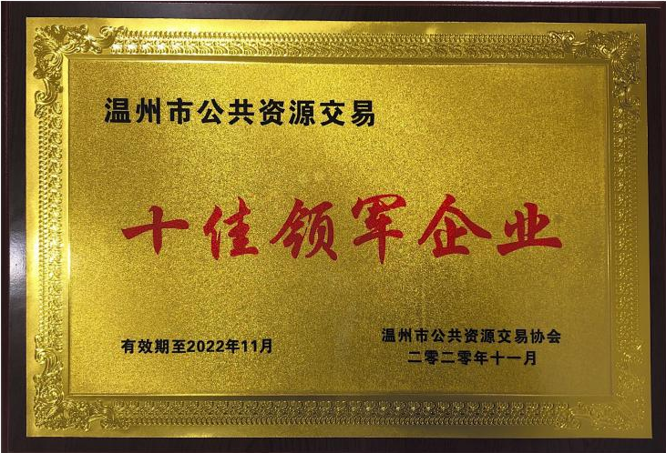 2019年度 十佳領(lǐng)軍企業(yè)