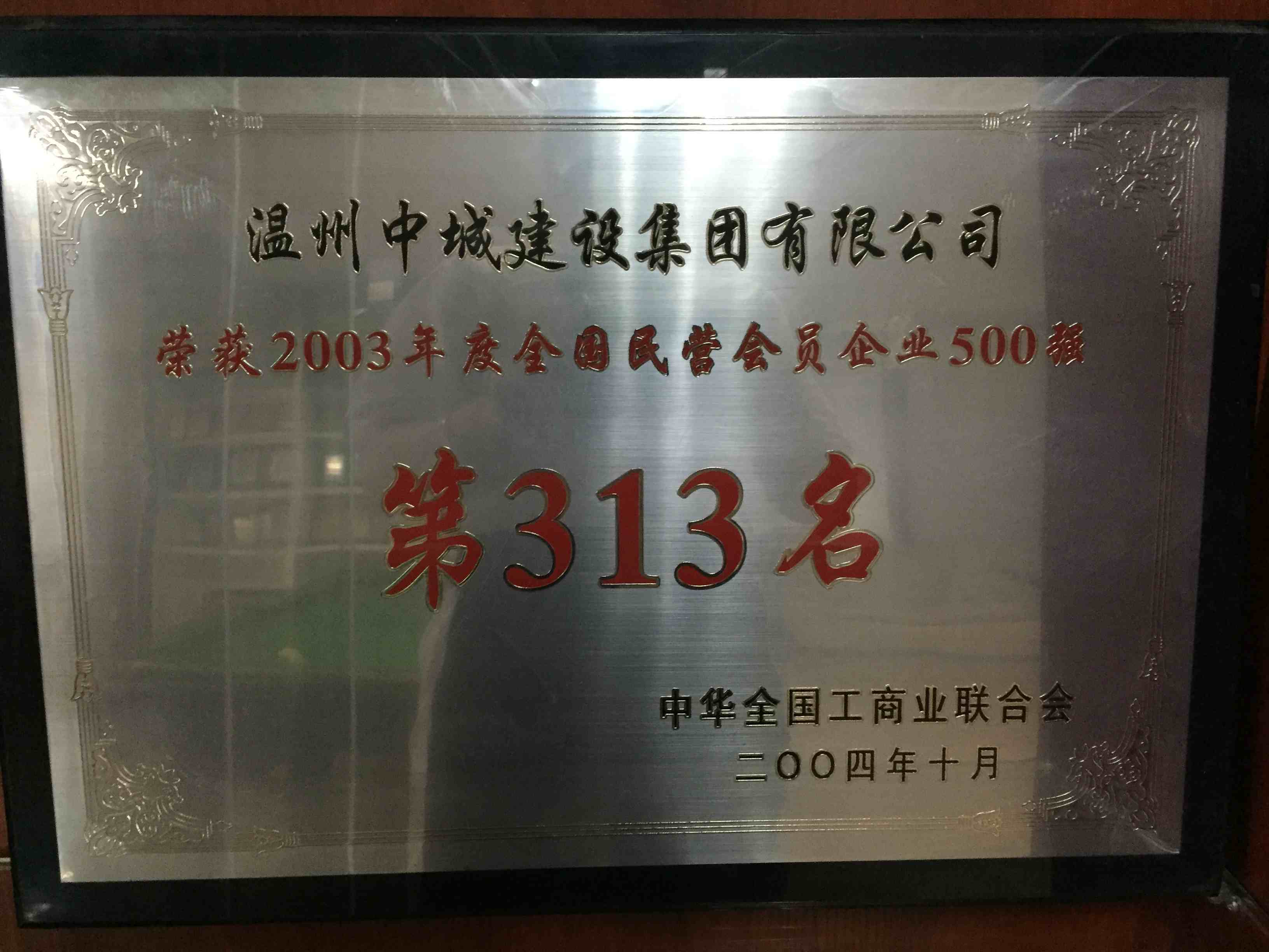 2003年度 全國民營會員企業(yè)500強第313名