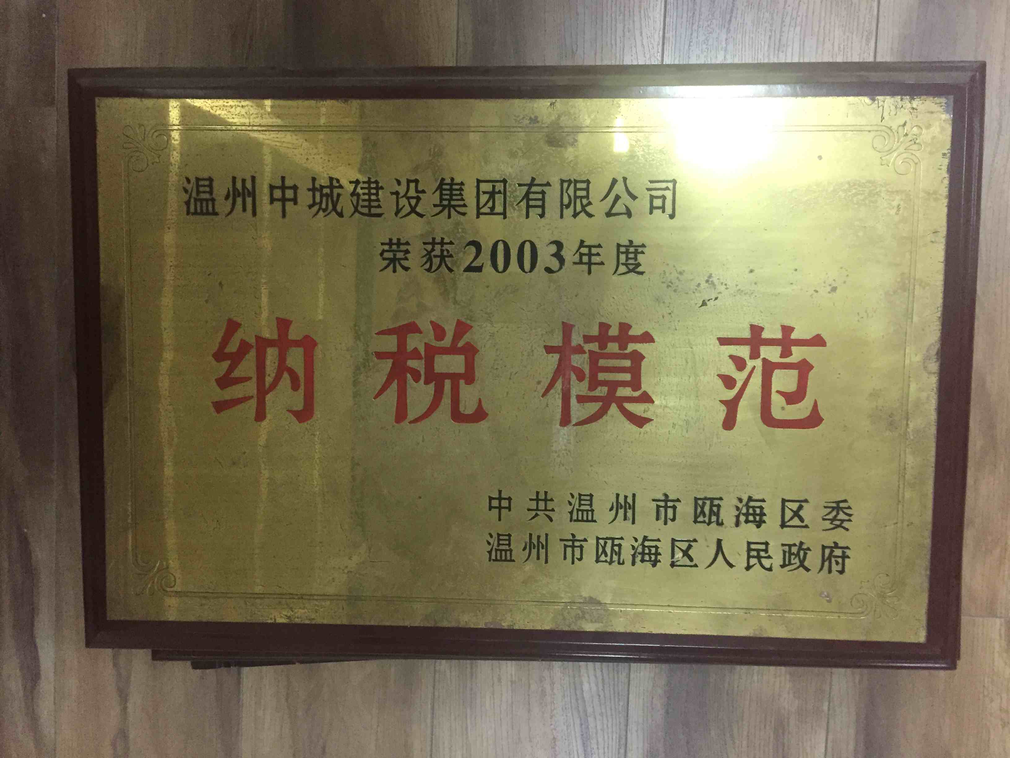 2003年度 納稅模范