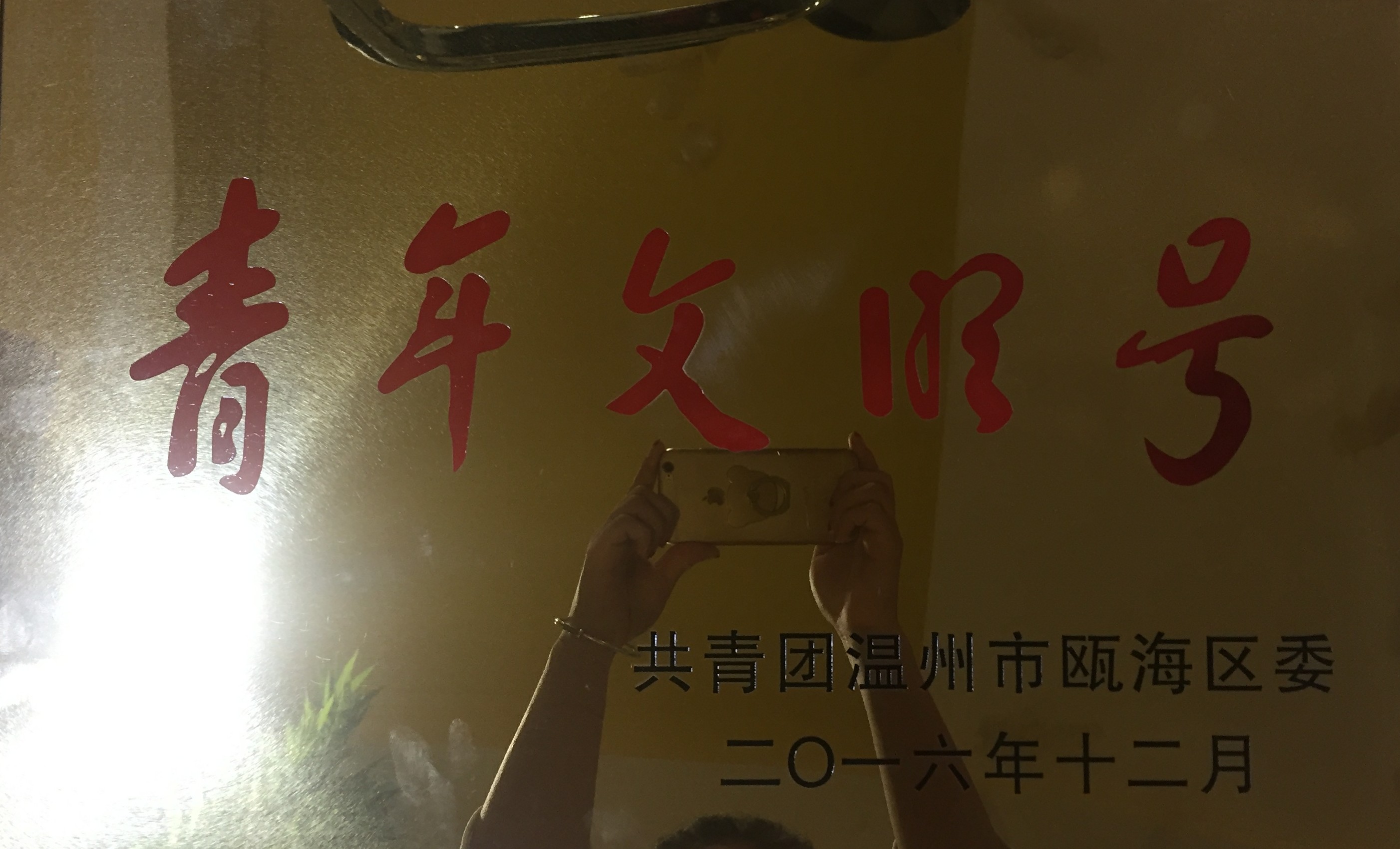 2016年度 青年文明號(hào)