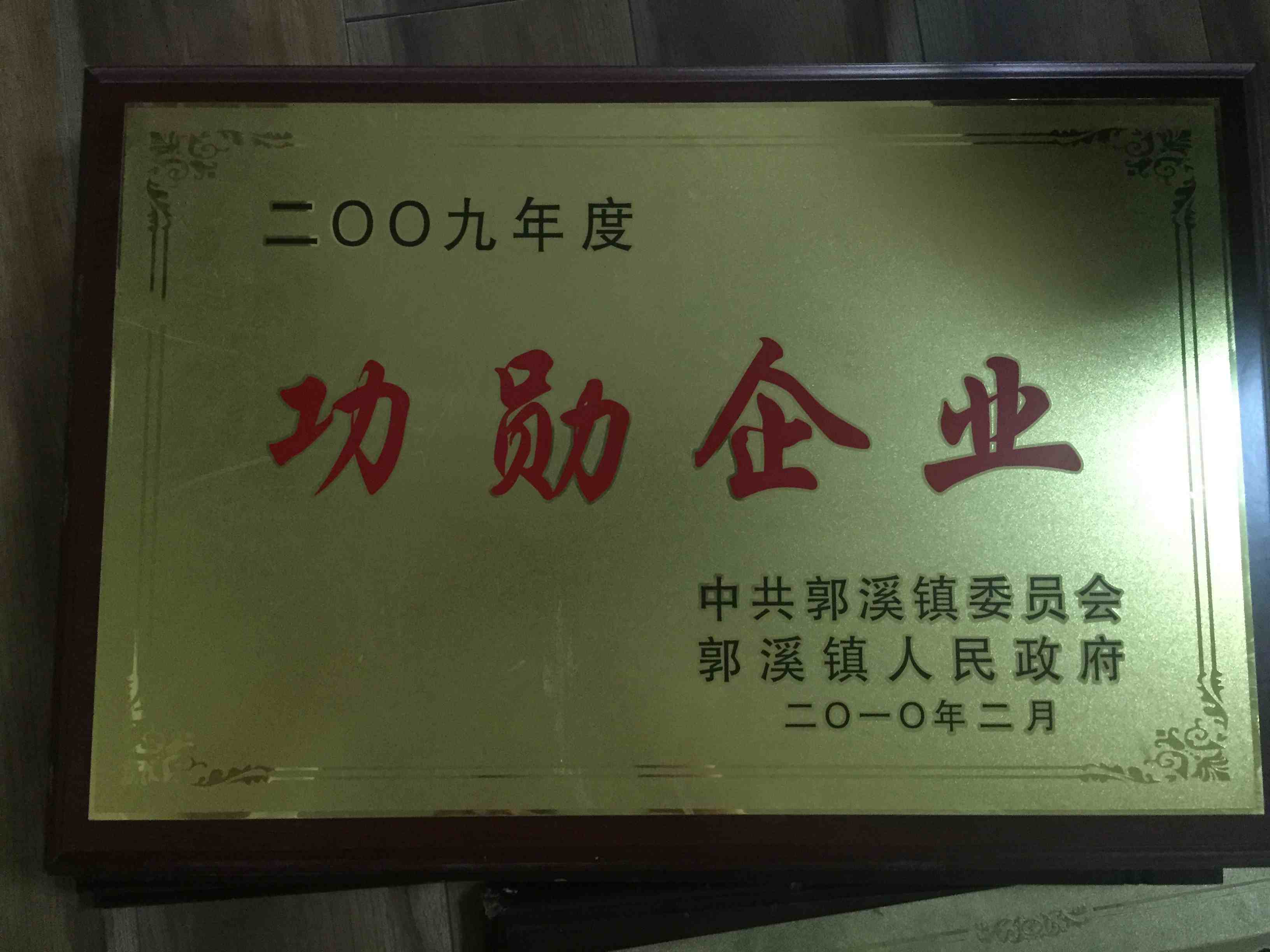 2009年度 功勛企業(yè)