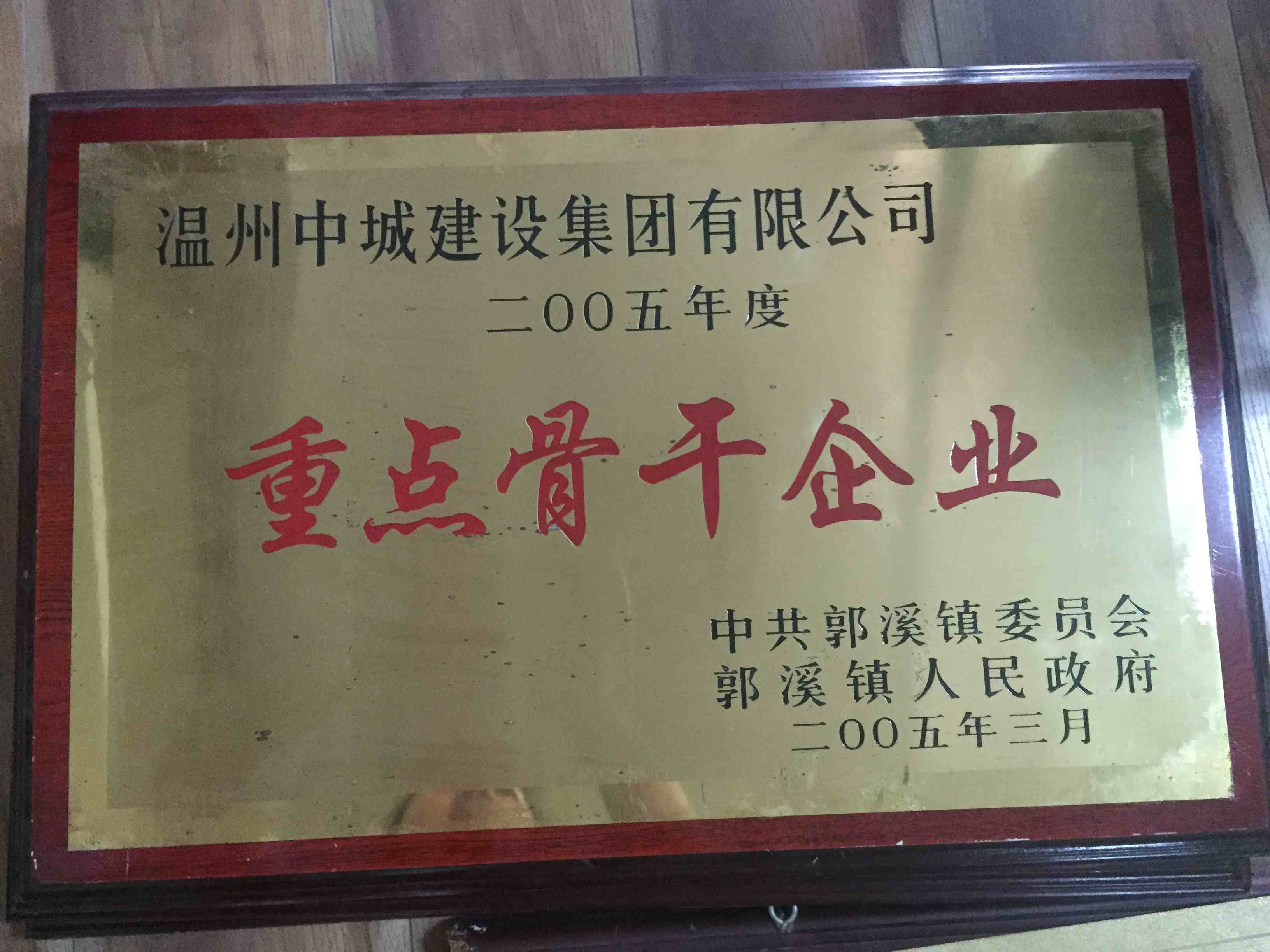 2005年度 重點骨干企業(yè)