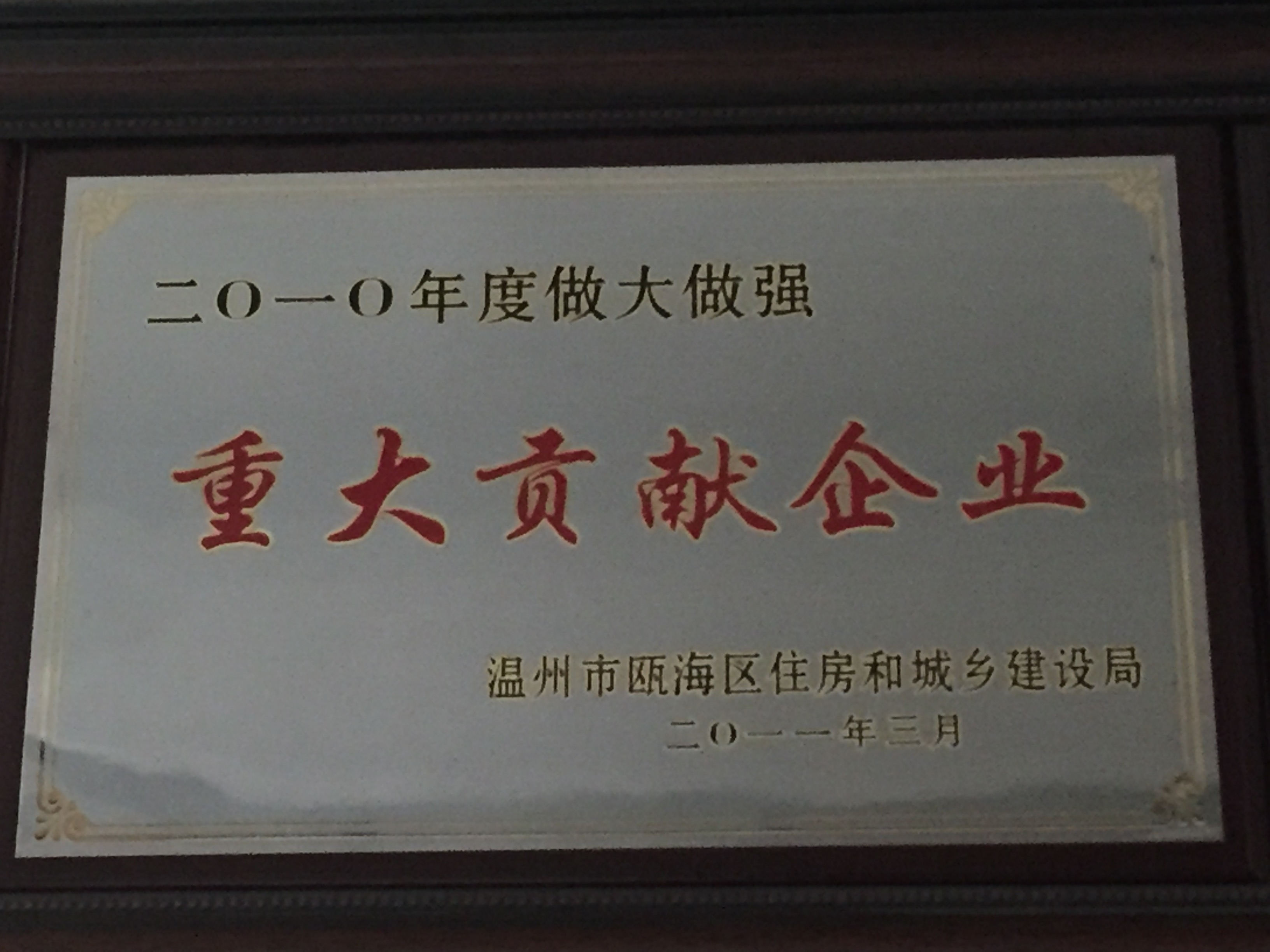 2010年度 做大做強(qiáng)重大貢獻(xiàn)企業(yè)