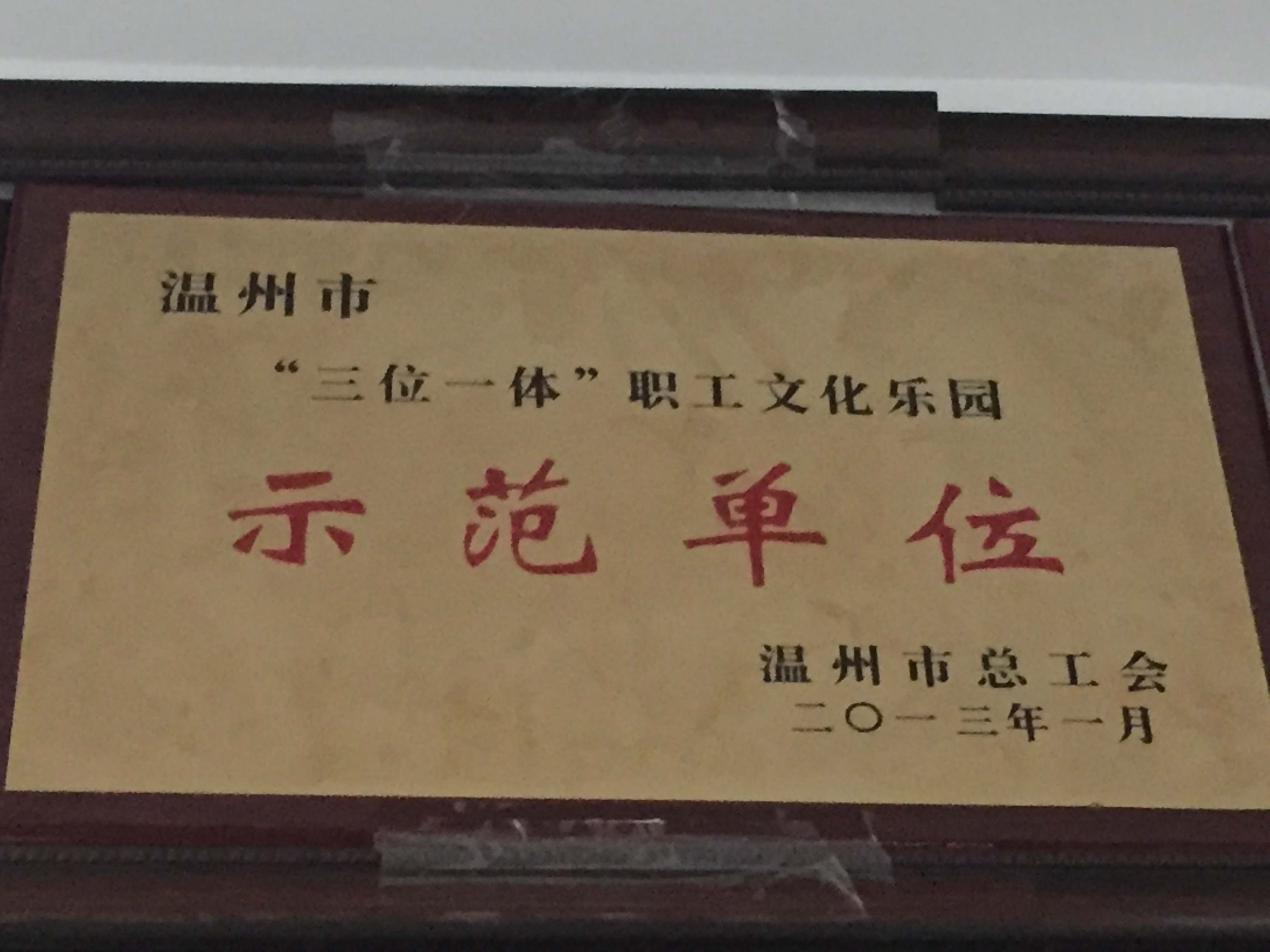 2012年度 “三位一體”職工文化樂園示范單位