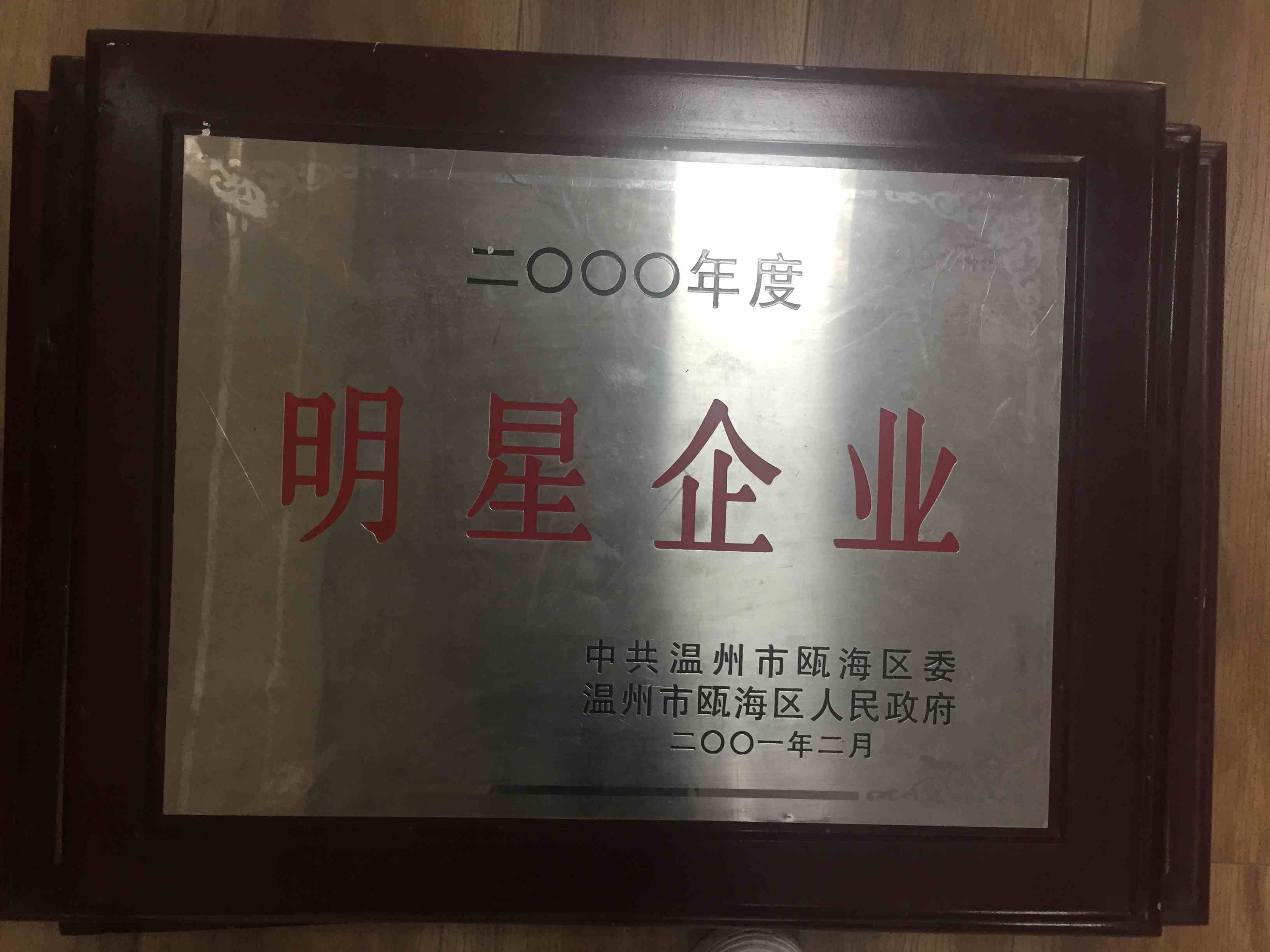 2001年度 明星企業(yè)