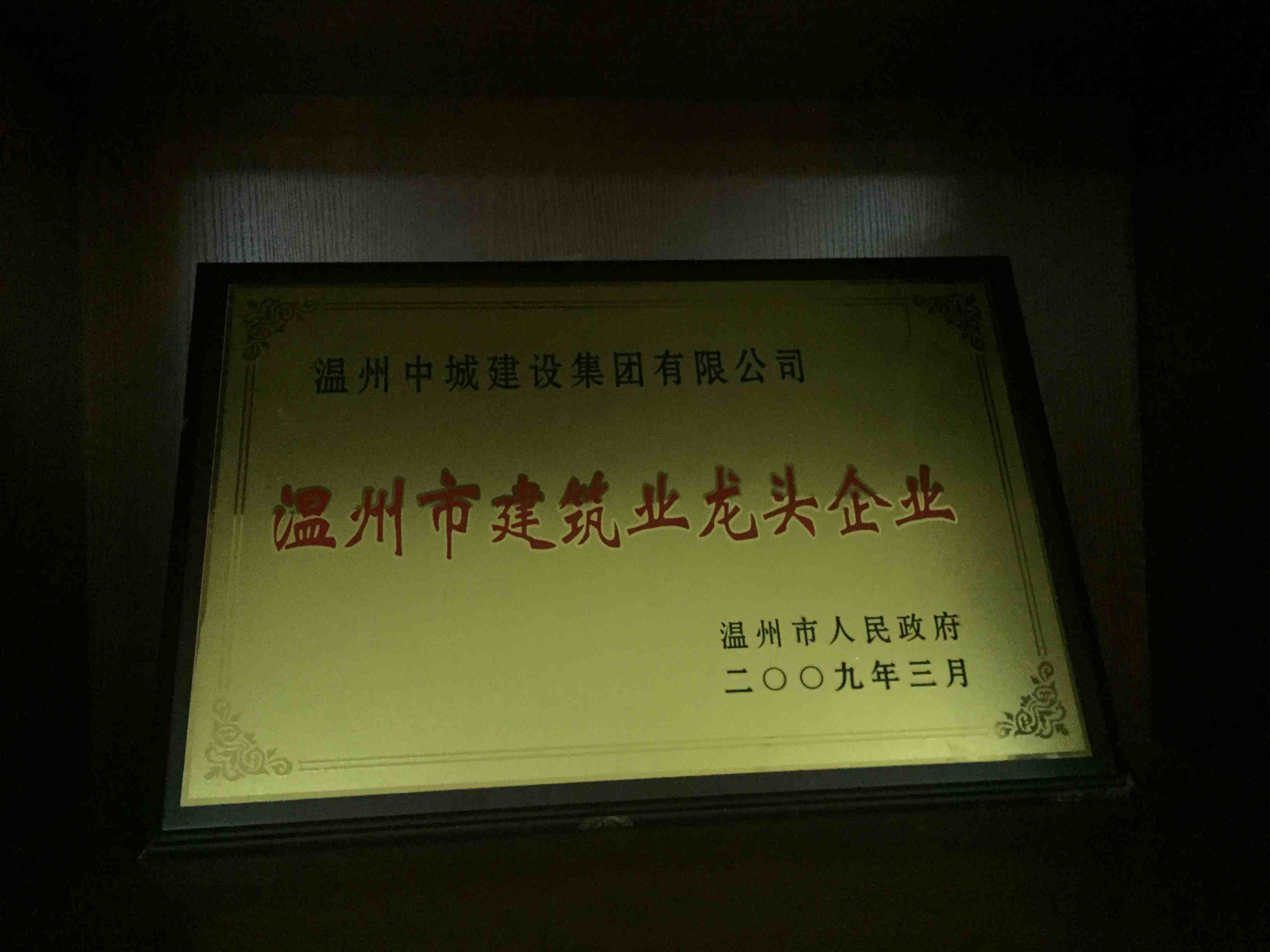2008年度 溫州市建筑業(yè)龍頭企業(yè)