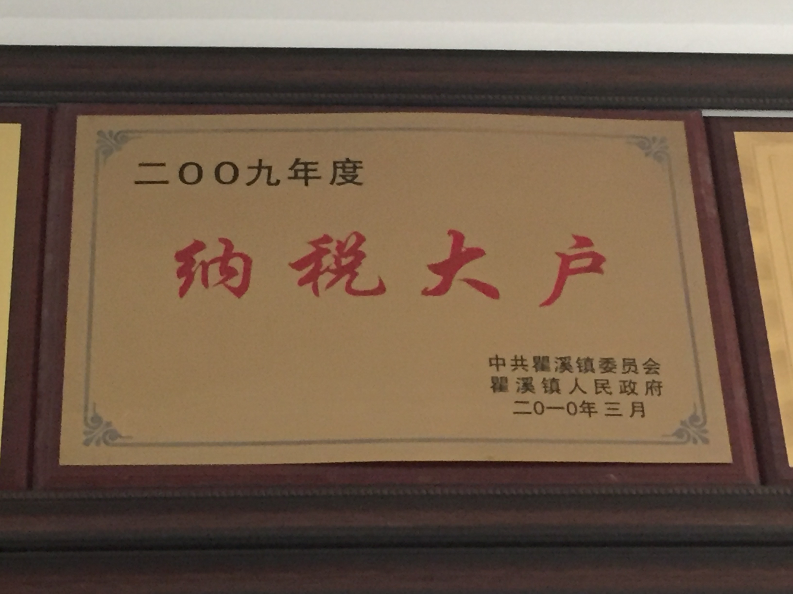 2009年度 納稅大戶(hù)