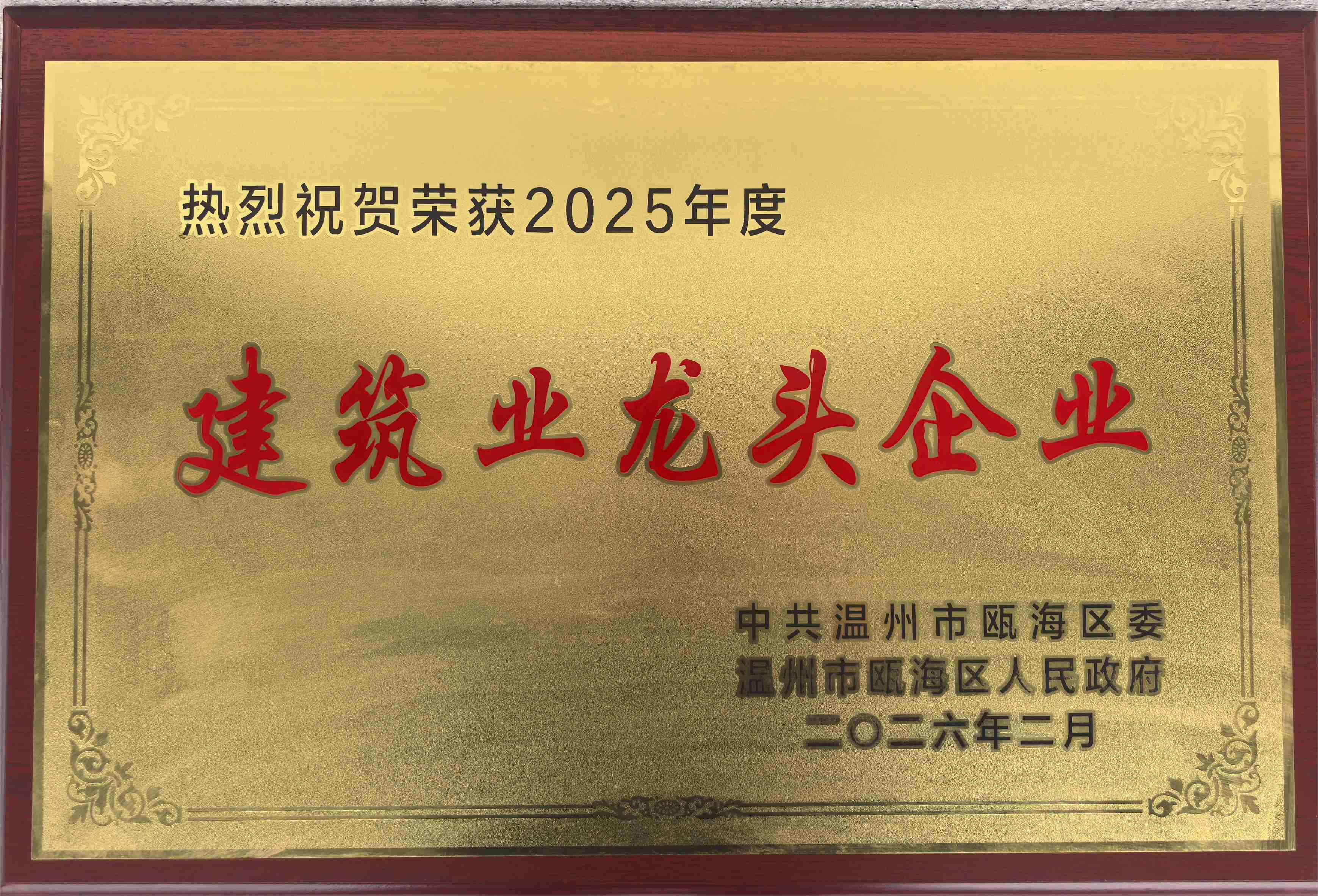 2025年度 建筑业龙头企业