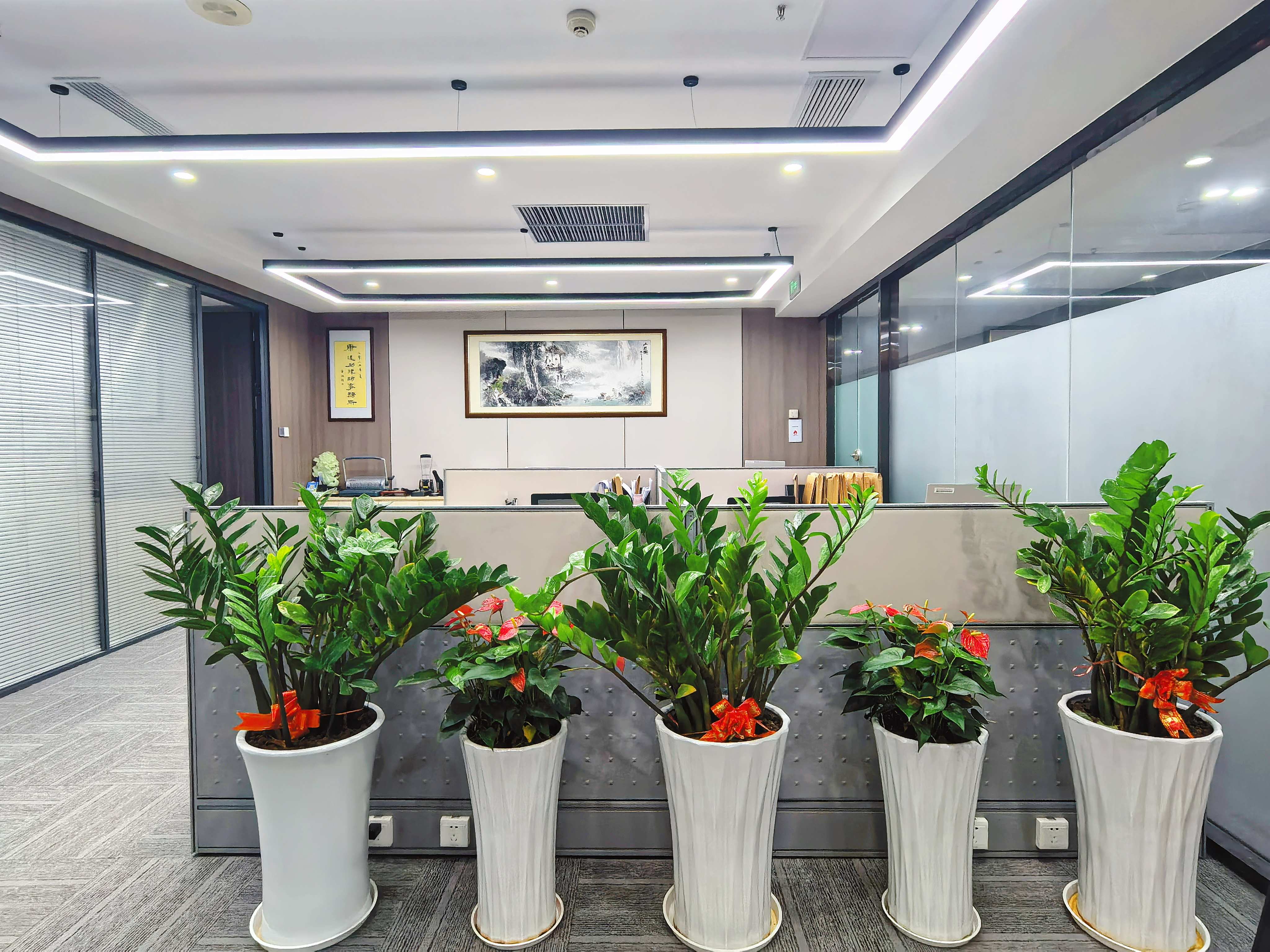 欢迎入会丨热烈欢迎海南康廷功律师事务所加入海南省信用协会