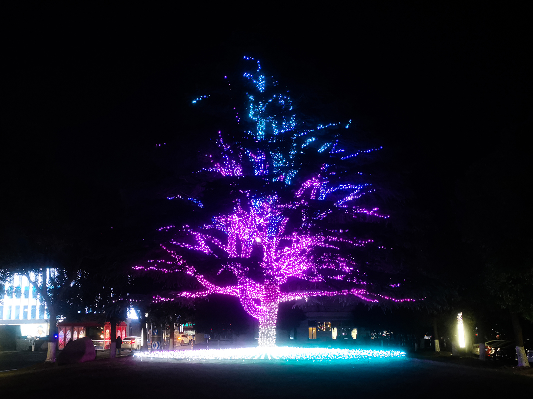 Changshu Tree of Life
