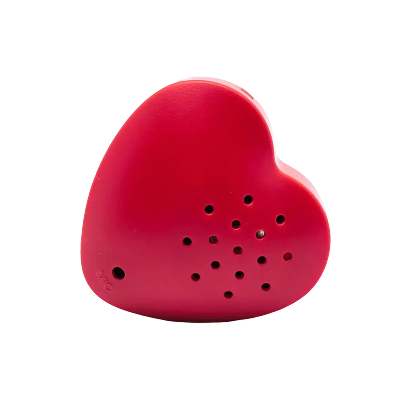 HD DIY Gift Voice Recorder Customize Your Own Voice