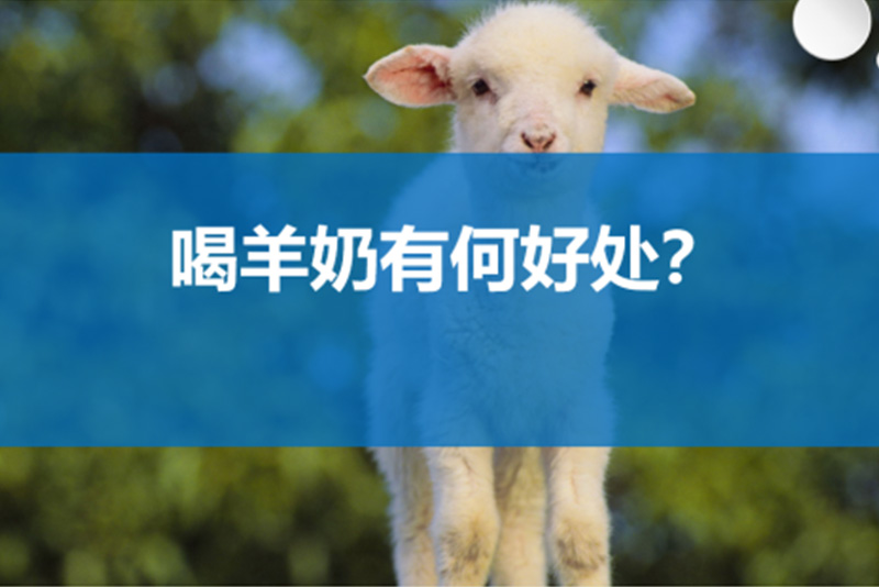 秦川乳业羊奶粉:品味纯 正,滋养身心——探寻喝羊奶粉的多重好处