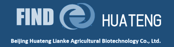 &ldquo;华&rdquo;取意中华大地，亦含&ldquo;繁华&rdquo;&ldquo;精华&rdquo;之意。公司以&ldquo;华&rdquo;字体现其扎根中华大地，致力于农业发展的使命。&ldquo;腾&rdquo;象征着腾飞、突破与进取。公司以&ldquo;腾&rdquo;字为精神内核，不断突破技术瓶颈，推动育种技术创新升级，力求在玉米种业领域实现腾飞式发展。&ldquo;联&rdquo;体现了合作的智慧。公司对内研发、生产、销售、服务团队紧密联动，形成高效运转的有机整体；对外与农业科研机构联合攻关，汇聚前沿技术。&ldquo;科&rdquo;代表科技与科学，彰显公司以科技创新驱动发展的决心。