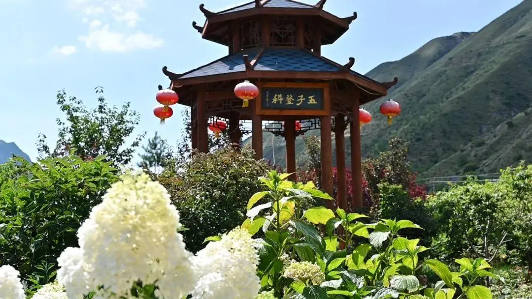 漳县