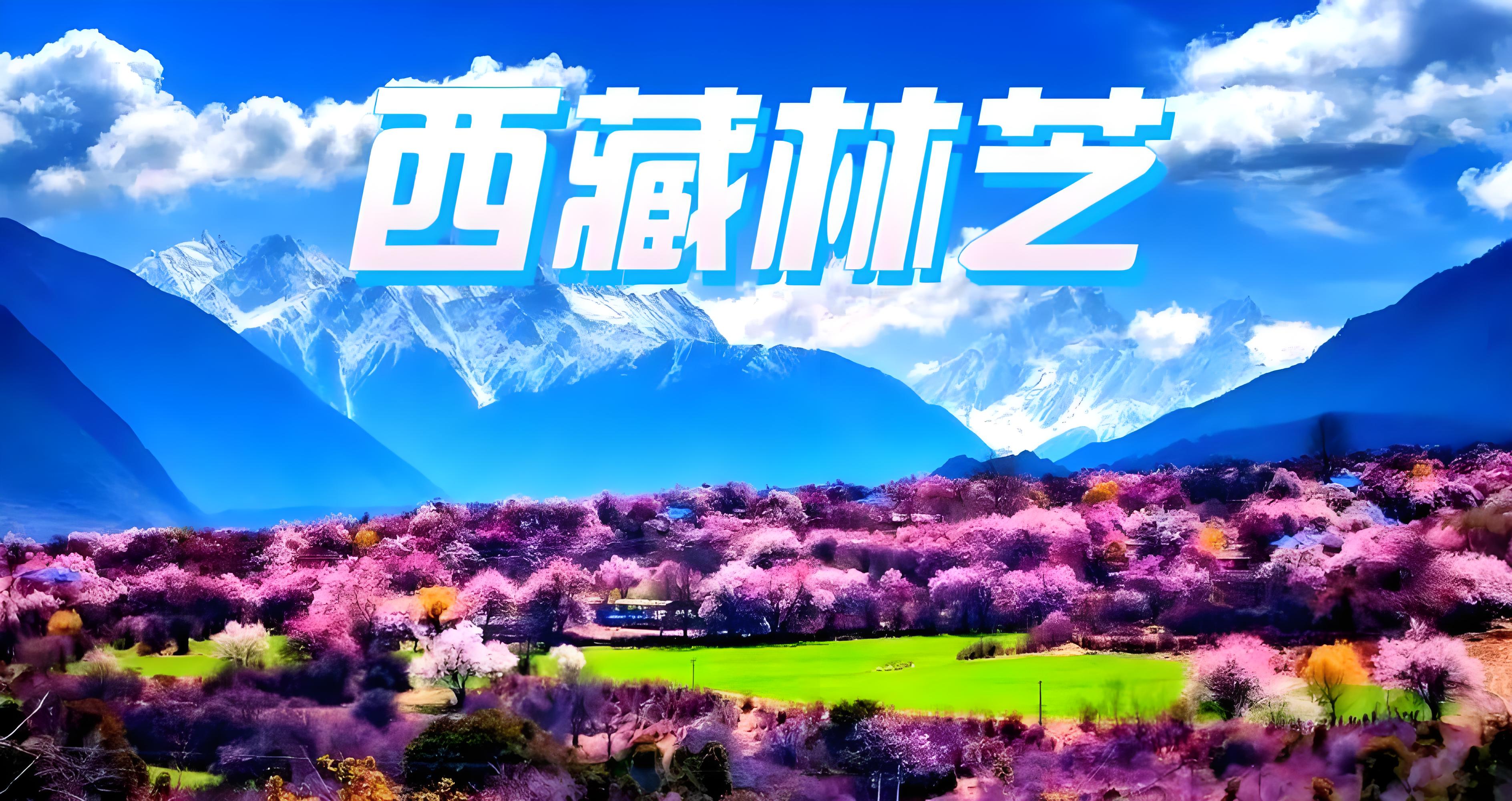《2025成都→林芝物流专线新升级!雅江水电站设备运输72小时直达方案》