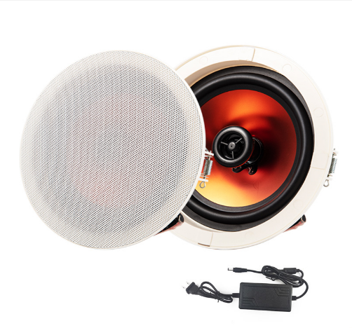 雷公王吸顶音响CR-601