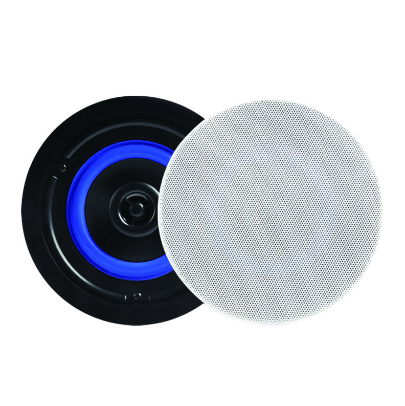 雷公王吸顶音响CR-401