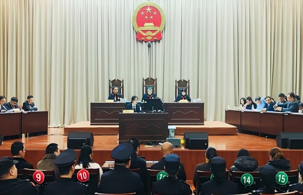 睢陽(yáng)區(qū)法院：擅自加工、銷(xiāo)售假獸藥776萬(wàn)余元，23名被告人分獲刑罰