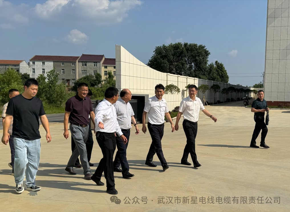 【新星动态】湖北省人民检察院熊昭辉副检察长一行走访调研新星线缆