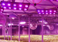 飞利浦LED灯珠植物灯应用 - 深圳市众鑫光电子有限公司