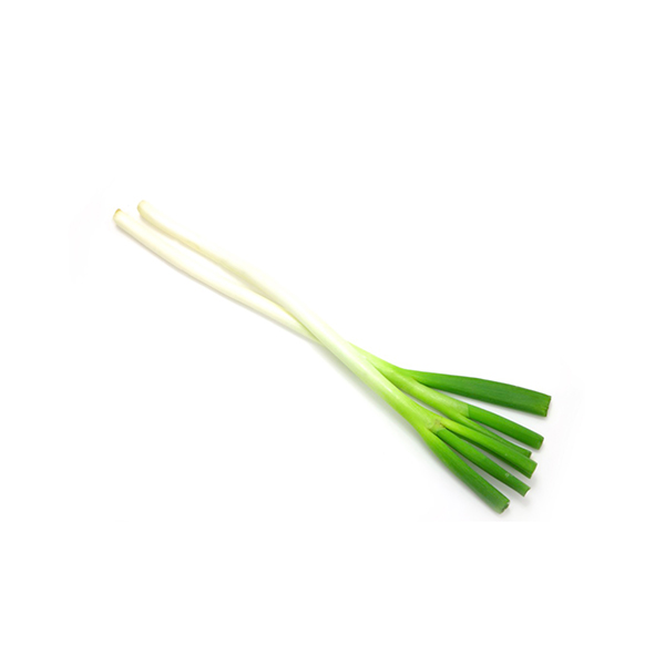 Scallion