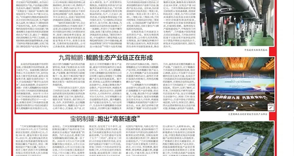 金城观丨鲲鹏生态建设加速，助力高新而立腾飞！