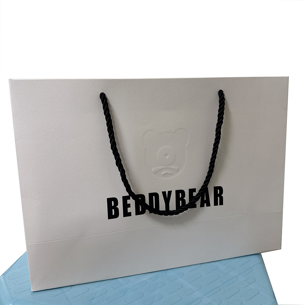 SS-P107 Paper Bags
