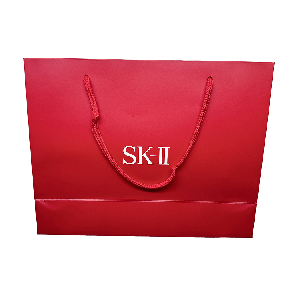 SS-P110 Paper Bags