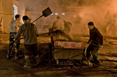 《御品坊：沧州白酒文化的百年传承与创新》