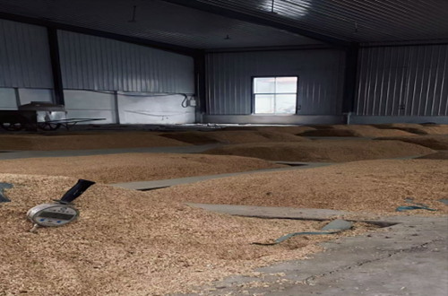 对话沧州御品坊：您关心的这4件事，我们一直放在心上！