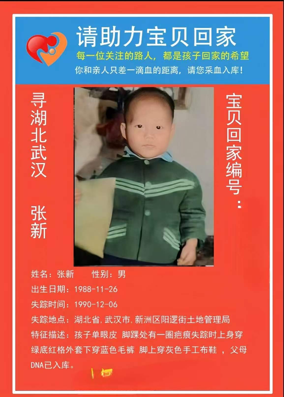 寻湖北武汉 张新