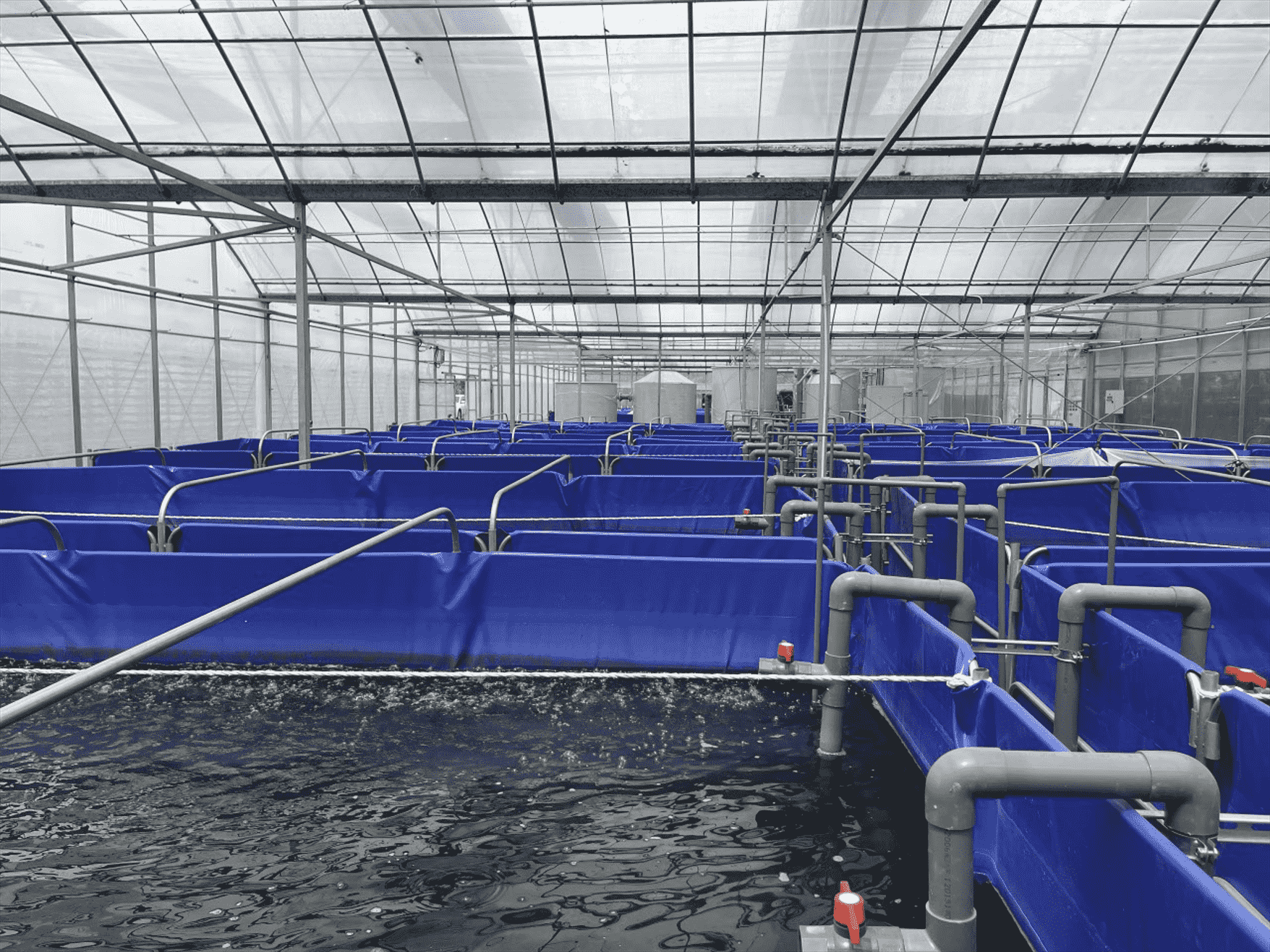 工厂化循环水养殖模式