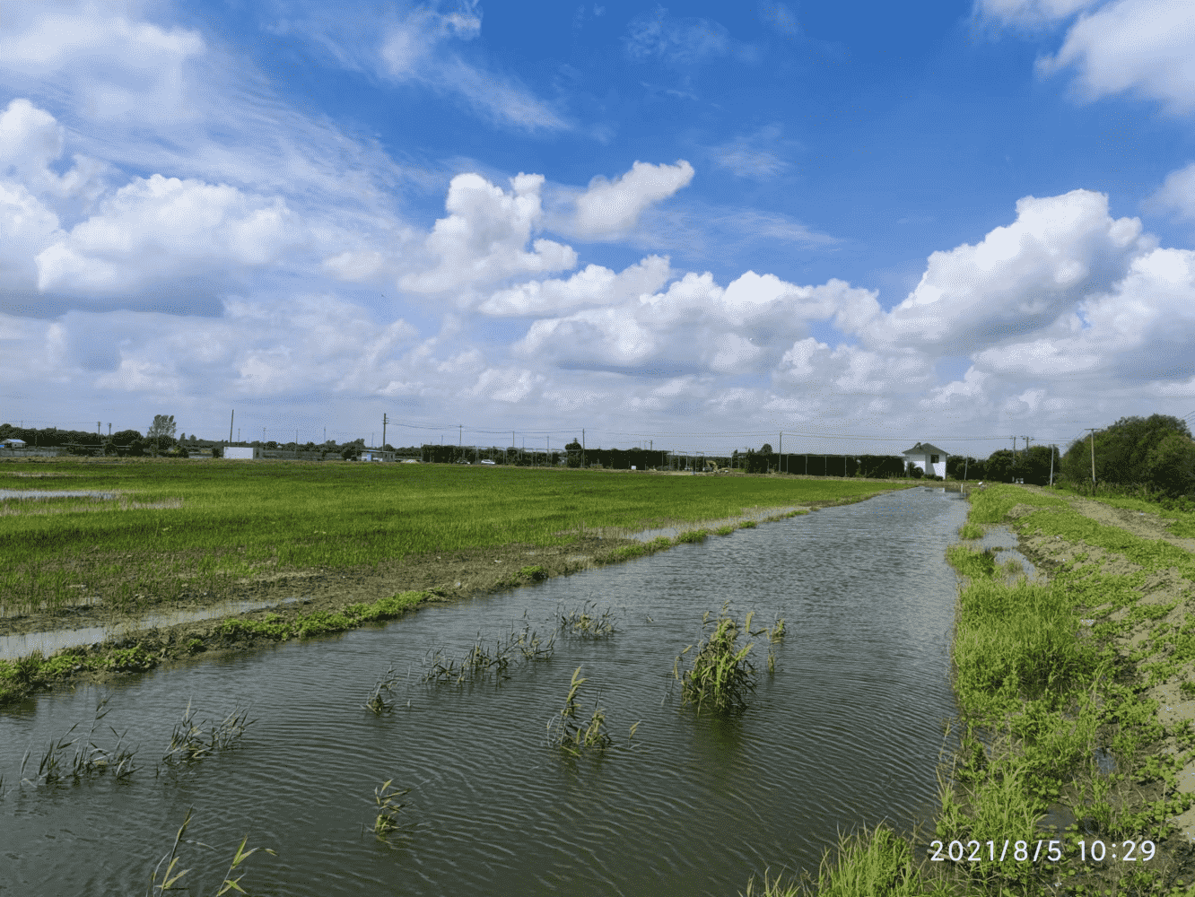 稻渔综合种养示范