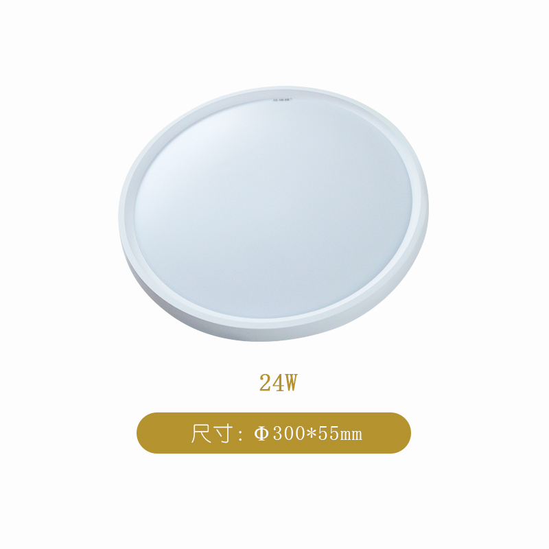 格瑞捷 LED三防吸顶灯 GRJ-XDD-20010-30W 个 白24W 三防吸顶灯