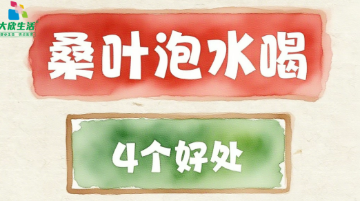 桑叶泡水竟有这么多妙用!不仅能降火气,还有这 几个 “惊喜效果”,值得试试