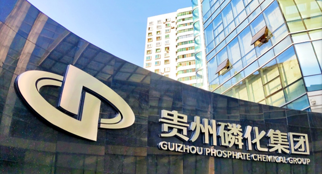 释放创意，赢取奖金！“磷青聚力”LOGO等你来设计！