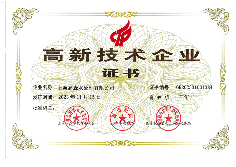 Shanghai High and New Technology Enterprise