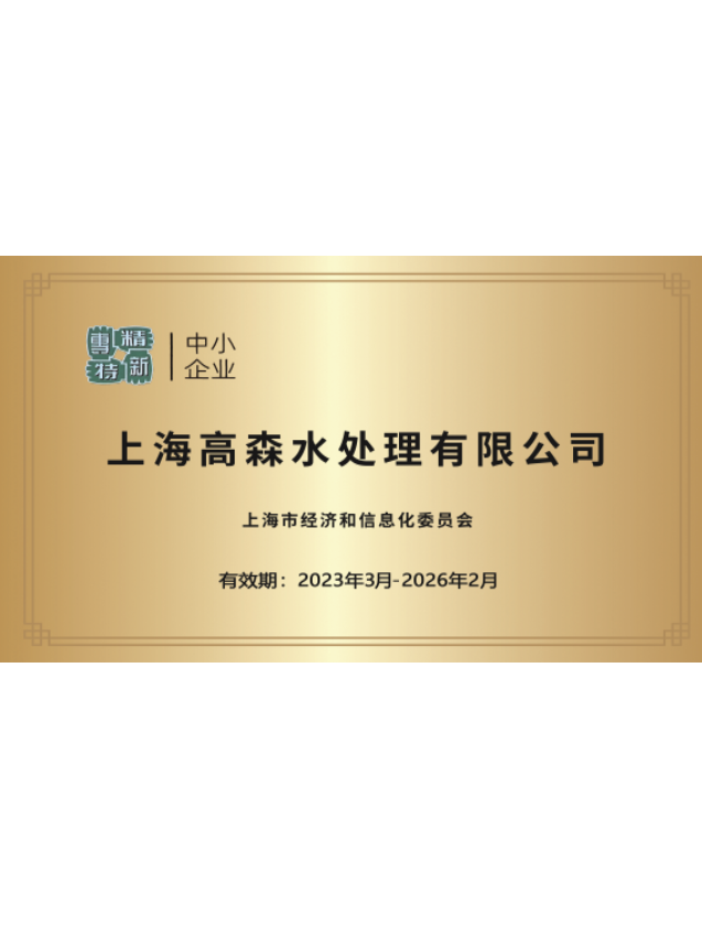 Specialized and Sophisticated Enterprises in Shanghai