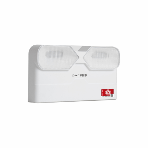 集中电源集中控制型双头灯