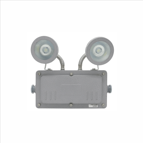 集中电源集中控制型防爆应急灯