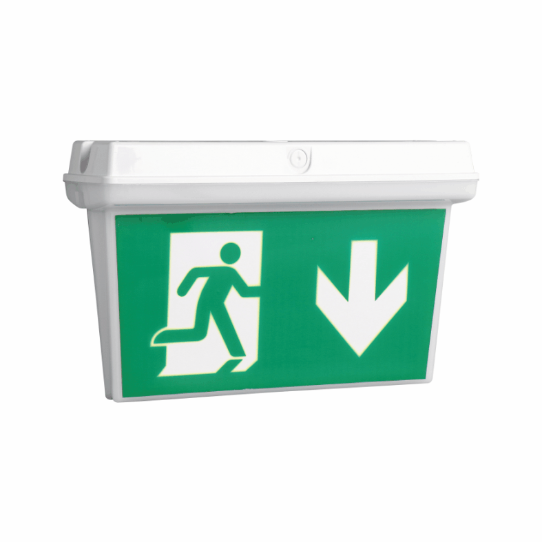 Emergency Exit Sign