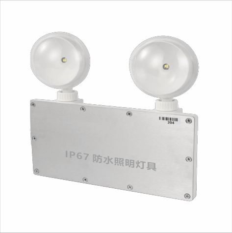 集中电源集中控制型防水双头灯