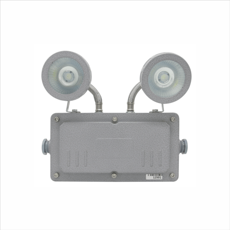 自带电源集中控制型防爆应急灯