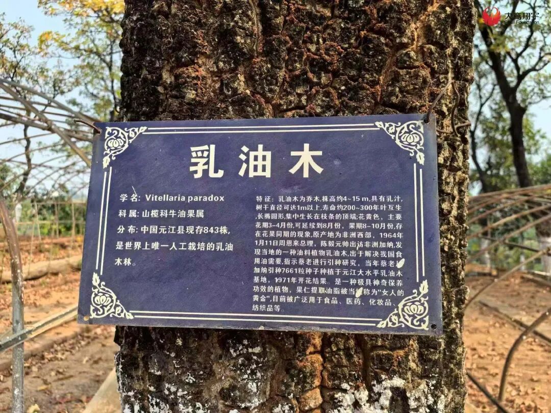 微信图片_20260423101612_426_2.jpg