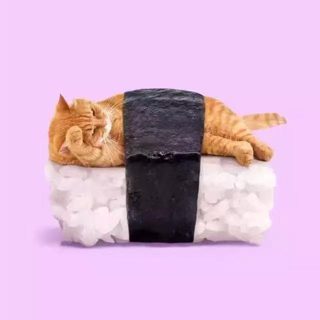 2025年智能宠物监测与训练设备市场报告