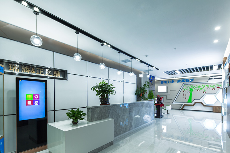 东莞市瑞辉新材料技术有限公司