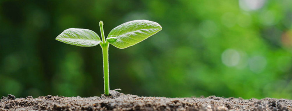 国际贸易农化服务要点